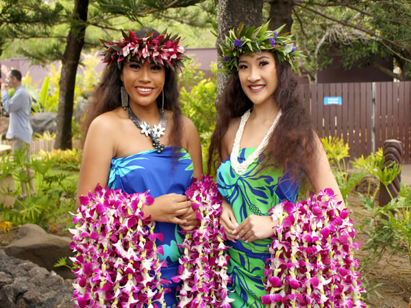 Leis