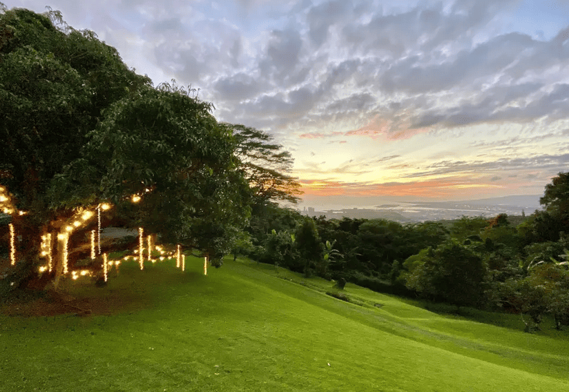 Beautiful Views from Nutridge Estate